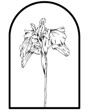 Iris Addie Designs logo, Iris flower surrounded by curved arch